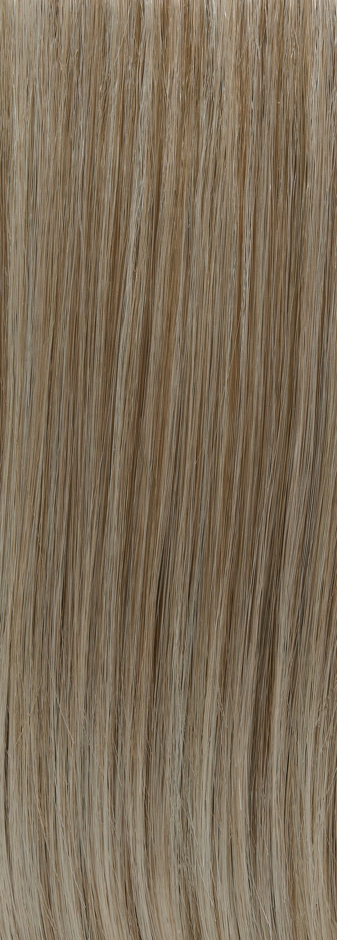 10/613 | Light ash blonde with platinum blonde highlights