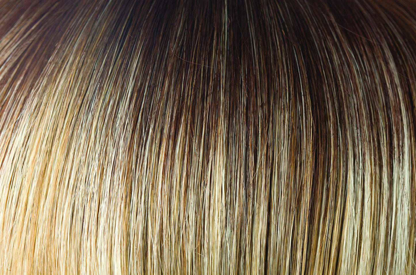 Taylor | Last Chance