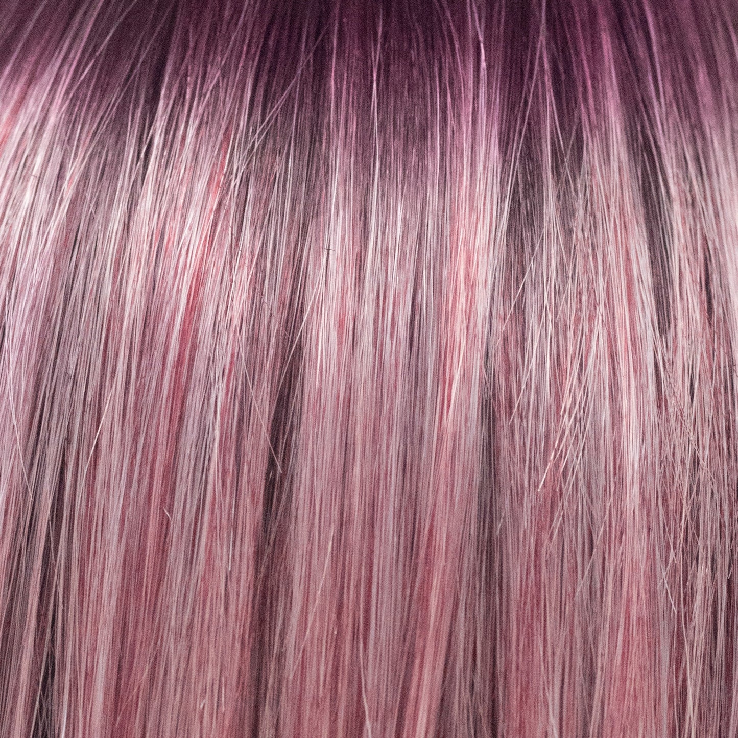 Taylor | Last Chance