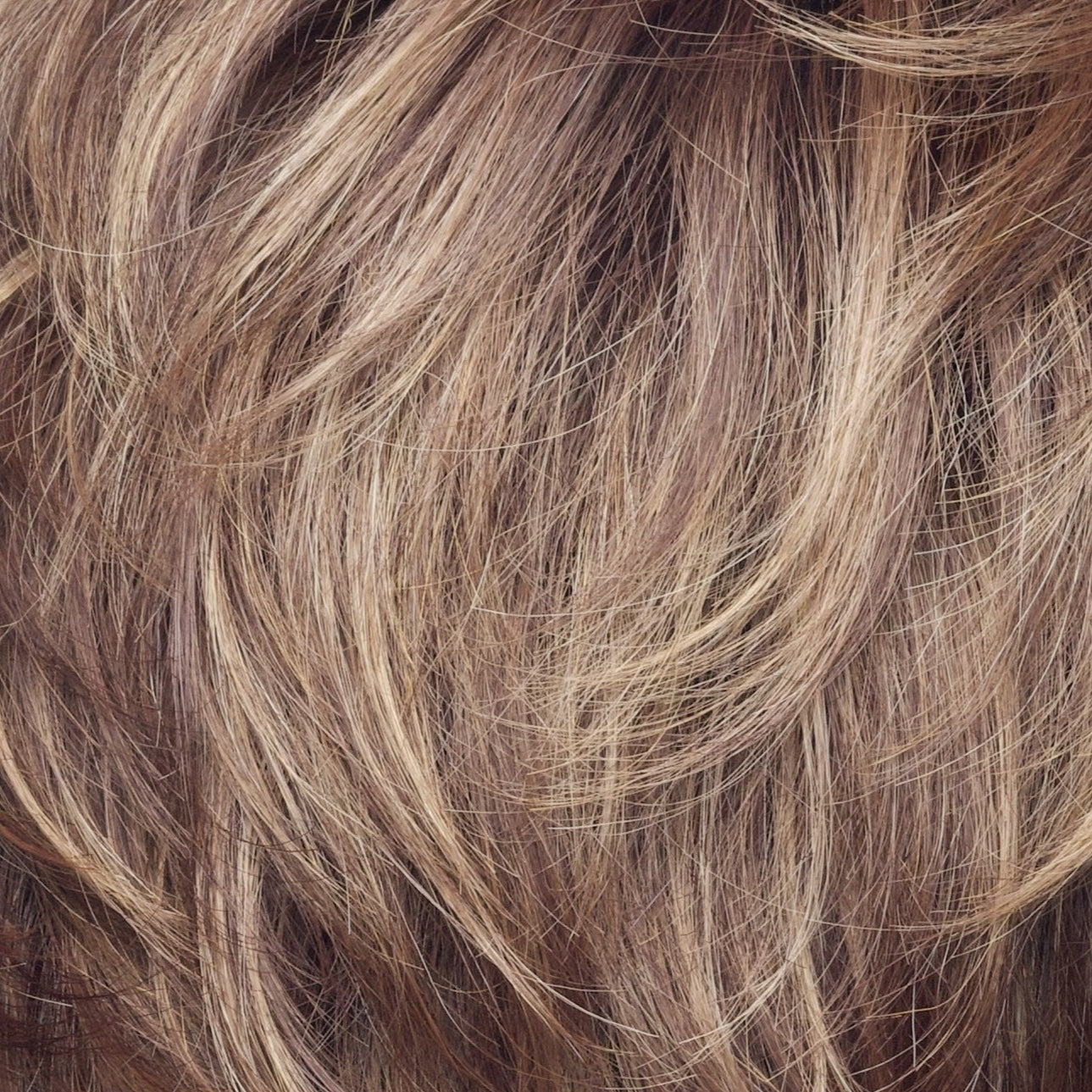 Raisin Glaze-H | Rooted Dark with Light Brown base with Medium Blonde highlights